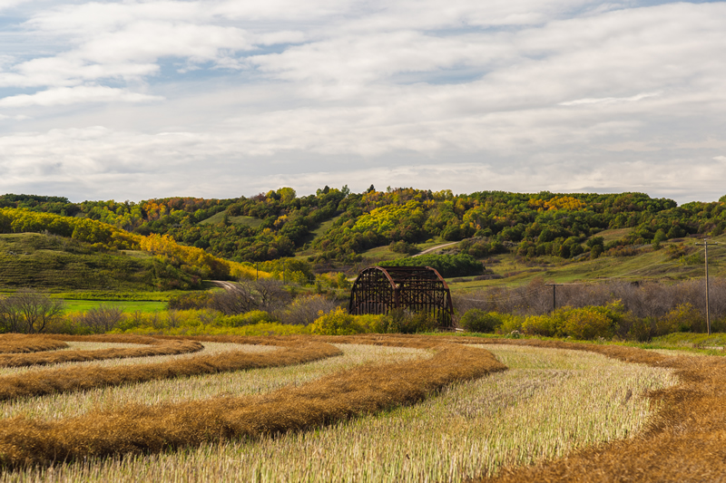 Harvest Lines by Andrew